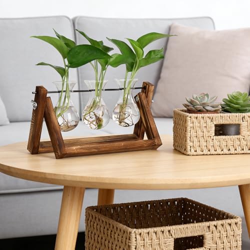 YIBOT Propagation Stations,Plant Terrarium with Wooden Stand-3 Glass Vases - Image 4