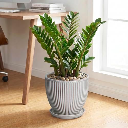 10 Inch Pots for Plants Indoor, Ceramic Planters with Drainage Hole and Saucer, Round Large Plant Pots for House Plants, Decorative Flower Planter, Porch Decor, Plant Lover Gifts, Grey - Image 3