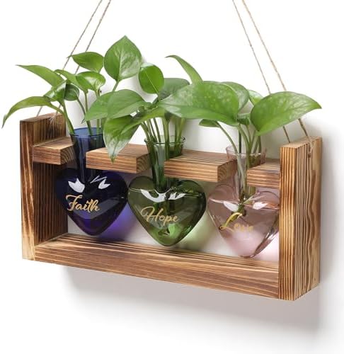 Plant Terrarium Propagation Stations Hydroponics by MTsigns