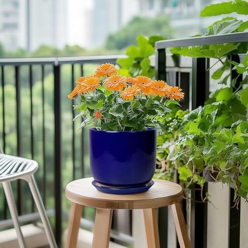 Ceramic Flower Pot 7 Inch - Cylinder 7 Inch Round Planter for Cactus Orchid Plants with Drainage Hole and Saucer, Home Office Room Desk Decor, Blue - Image 5