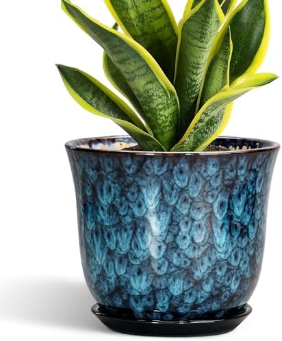 8 Inch Plant Pot - Ceramic Planter for Indoor Outdoor, Round Planter with Drainage Hole and Saucer, Modern Planters, Flower Pots, Apartment Porch Room Home Decor, Gardening Gifts, Blue by SUNPOTFOR