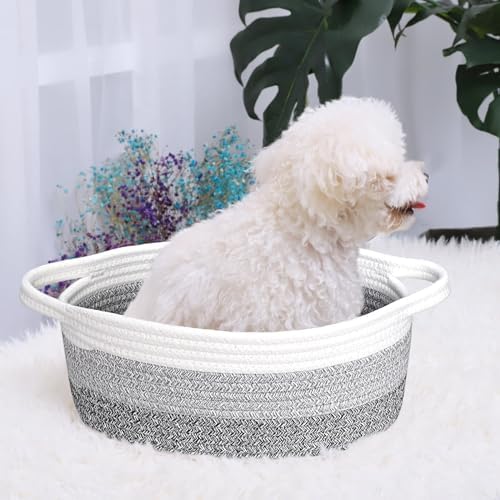 ABenkle Small Basket with Handles, Boho Decorative Rope Woven Dog Cat Toy Storage Bin Shelf Storage Organizer, Easter Christmas Gift Basket, 12"x8"x5" - Image 5