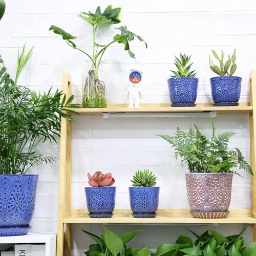 Gepege Ceramic Succulent Pots, 4 Inch Small Plant Pots with Drainage - Image 6