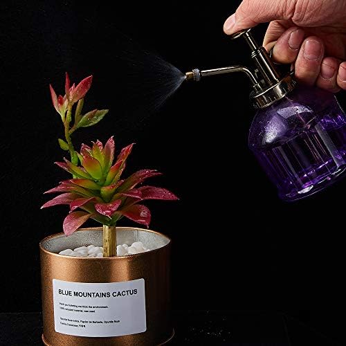 Glass Plant Mister Spray Bottle for Inside Vintage Leak Proof Purple 6.7oz - Image 4