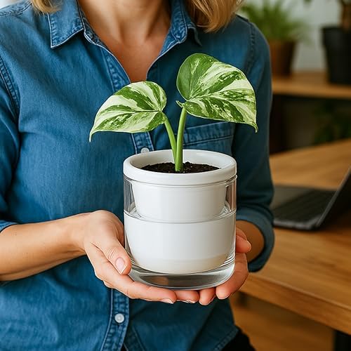 D'vine Dev Self-Watering White Terracotta Planter Pot, 4 in, 37-X-A-2 - Image 2