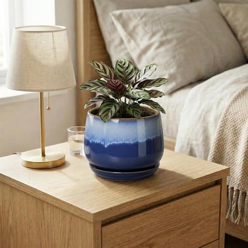 Ceramic Flower Pots, 6 Inch Plant Pot Indoor with Saucer, Deep Blue - Image 6