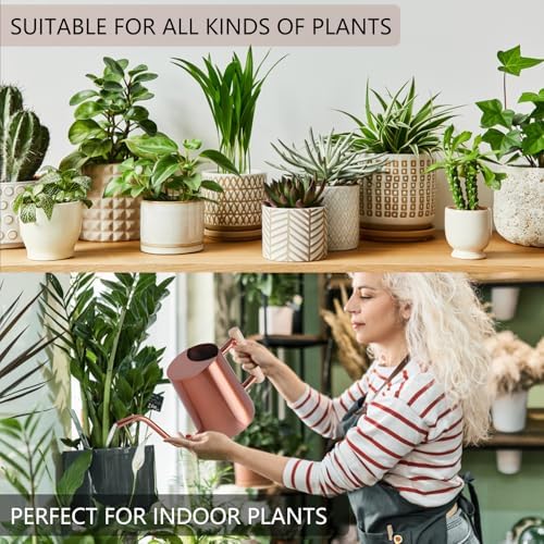 Watering Can Indoor Plants, 35oz Small Stainless Steel Metal Watering Can Modern Decorative Watering Pot with Long Spout for Indoor House Plant Bonsai Garden Flowers (Copper) - Image 4