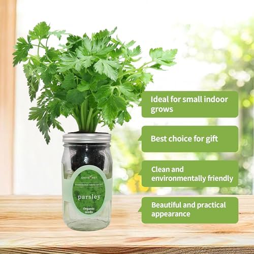 Hydroponic Herb Growing Kit, Self-Watering Mason Jar Herb Garden Starter Kit Indoor, Windowsill Herbs Garden, Grow Your Own Herbs from Organic Seeds (Parsley) - Image 5