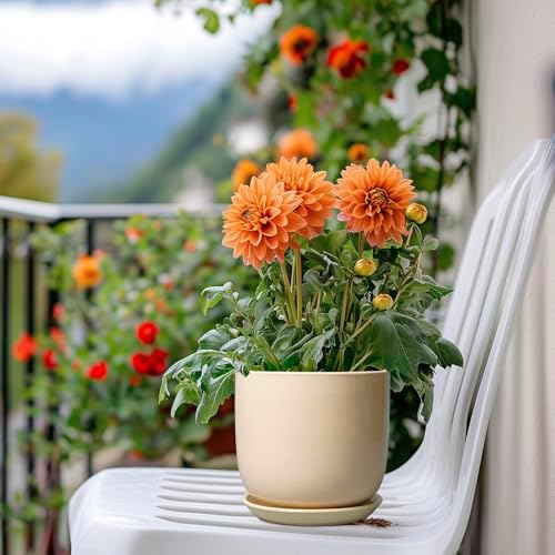 Ceramic Flower Pot 5 Inch - Round Succulent Planter for Indoor Plants with Drainage Hole and Saucer, Patio Room House Office Home Decor, Yellow - Image 7