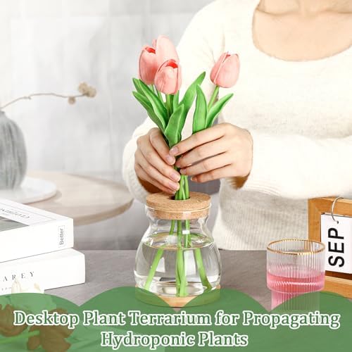 6 Pcs Glass Plant Propagation Station with Wood Lid & Stand, Novel Style - Image 4