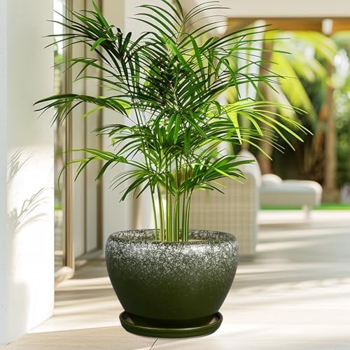 Ceramicfor 10 Inch Planter Pot, Ceramic Pots for Plants, Dark Green - Image 6