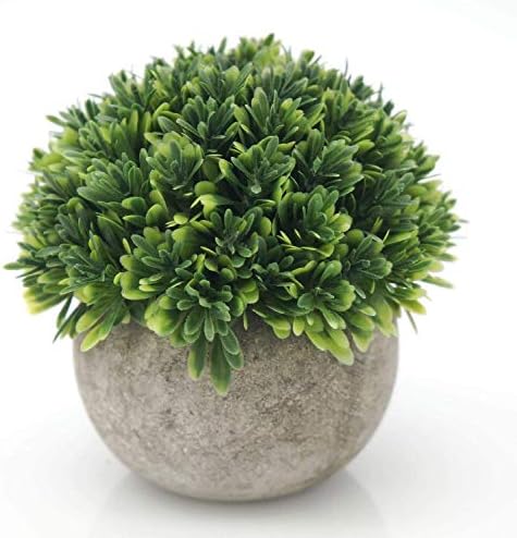 Velener Artificial Boxwood Faux Plant Indoor- Topiary Small Desk Plant Decor for Bedroom Office Cubicle Shelf Decor Window Will Plant Shelf Decoration Dorm Kitchen Counter, Farmhouse Home Decor Accent by Velener