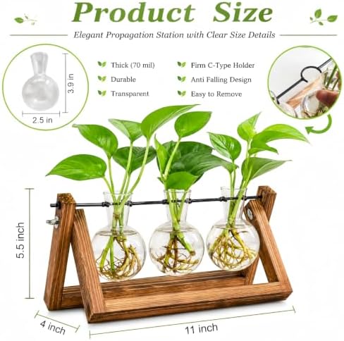 Renmxj Plant Propagation Station, Plant Terrarium with Wooden Stand - Image 2