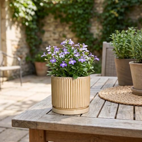 Ceramic Plant Pot, 4 Inch Pots for Plants with Saucer, Beige - Image 7