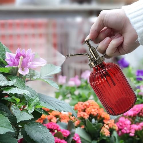 Glass Plant Mister Spray Bottle, 350ML Vintage Plant Spritzer with Top Pump Watering Can for Indoor Outdoor House Plants,Flowers (Red) - Image 2