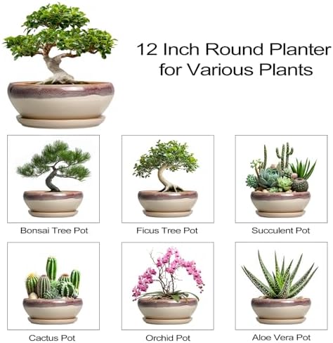 SQOWL Bonsai Pots 12 Inch, Ceramic Succulent Planters with Saucer, Beige - Image 7