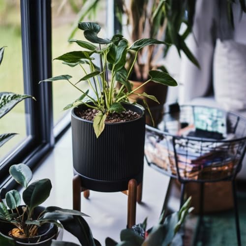 HERDUK 8 Inch Ceramic Planter with Natural Wood Stand w/Drainage & Saucer - Modern Indoor Planter for Cacti, Snake Plants & Aloe Vera Black - Image 7