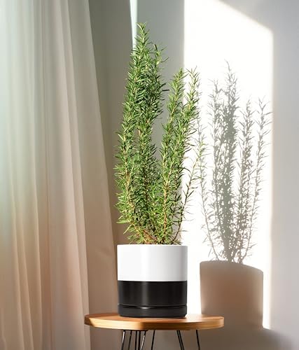 D'vine Dev 8.2 Inch Ceramic Planter Pot, Black White Two Tone, 94-O-D-L - Image 5