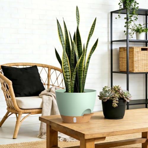Self Watering Pots with Drainage Holes, 3 Pack 12/10/8 Inch Plant Pots with Water Level Indicator Deep Reservoir, Large Plastic Planter for Indoor Outdoor Plants - Green Brown - Image 6