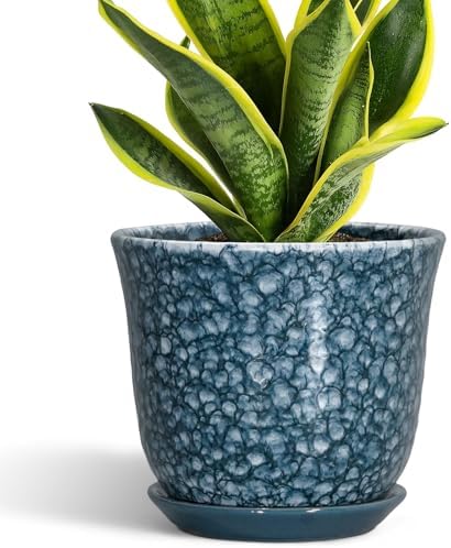 8 Inch Plant Pot - Ceramic Planter for Indoor Outdoor, Round Planter with Drainage Hole and Saucer, Modern Planters, Decorative Flower Pot, Garden Room Office Home Decor, Garden Gifts, Blue by SUNPOTFOR