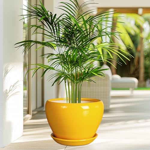 Ceramicfor Ceramic Planter - 10 Inch Plant Pot for Indoor Outdoor Plants Glaze Modern Round Planter with Drainage Hole and Saucer for Garden Office Home Room Patio Decor, Yellow - Image 4