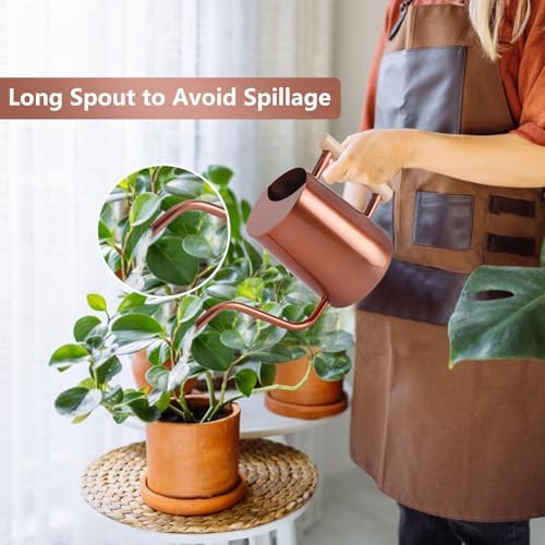 Watering Can Indoor Plants, 35oz Small Stainless Steel Metal Watering Can Modern Decorative Watering Pot with Long Spout for Indoor House Plant Bonsai Garden Flowers (Copper) - Image 2
