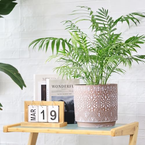 8 Inch + 6 Inch Plant Pot with Drainage Holes and Saucers, Indoor Ceramic Planter for Plants Succulent Orchid Flower Pots - Image 7