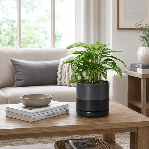 D'vine Dev 6.5 Inch Ceramic Planter Pot, Slate, 94-O-C-5 - Image 2