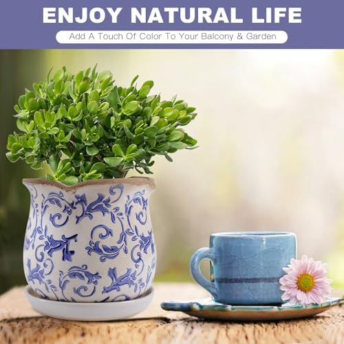 Ceramic-Planters-for-Indoor-Plants with Saucer, 6 inch Vintage Ice Crackle Glaze Plant Pots with Drainage Holes, Decorative Flower Pots for Outdoor Garden Home Decor, Tuscan Pot for Plant - Image 2