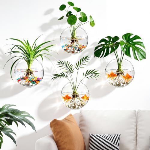Window Propagation Stations, Oblate Glass Terrariums Planter by MENGBEI