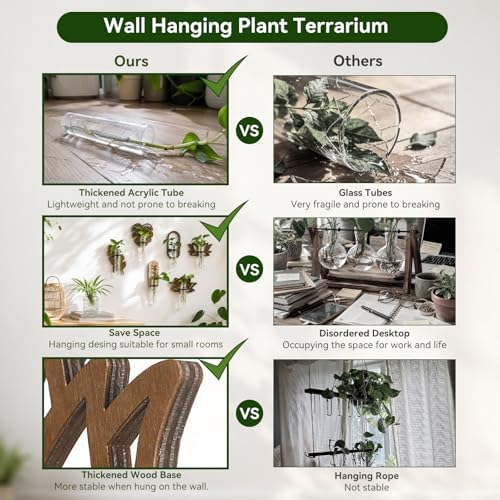 Artilady Plant Propagation Station Wall Hanging, Planter Terrariums Tube - Image 4