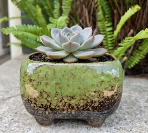 Cute 4.7 Inch Rectangle Ceramic Home Garden Decoration Succulent Cactus Flower Pots Container -Plant Not Included (Green) - Image 2