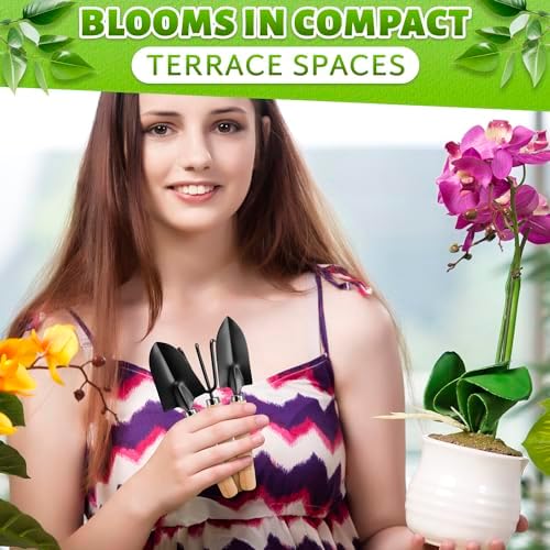 Mini Garden Tools for House Plants, Mini Shovel, Trowel & Hand Rake - Image 5
