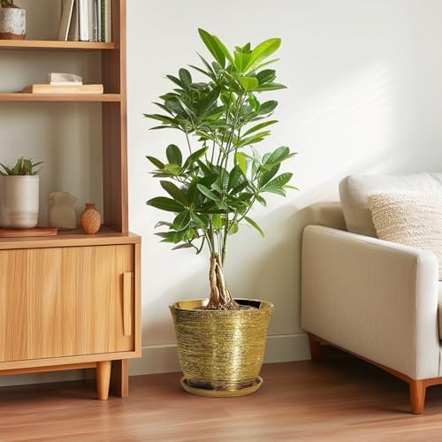 Ceramic Planter - 10 Inch Plant Pot with Drainage Hole and Saucer, Round Flower Pots for Indoor Outdoor, Large Modern Decorative Planter, Garden Room Home Decor, Gifts for Plant Lover, Gold - Image 4