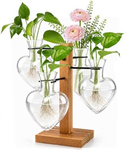Plant Terrarium Propagation Station with 4 Heart Glass Vases - Transparent by Lovin+Product