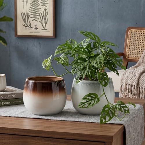 Ceramic Plant Pots, 5.5 Inch Indoor Planters, Ombre Glaze for Houseplants - Image 5