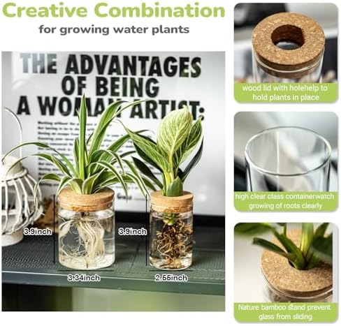 Glass Propagation Stations for Plants -Desktop Flower Vases,Propagation Flower Vases Set – 2 Large & 2 Small for Plant Cuttings，for Living Room, Bedroom Decoration,Home,Office Decor (8) - Image 2