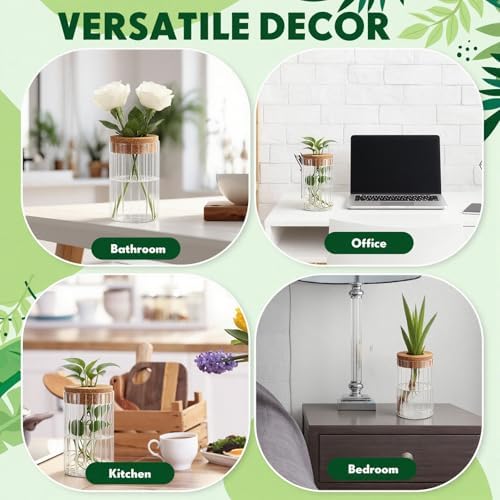 6 Set Propagation Station Jar Desktop Glass Planter Station Flower Vases Water Terrarium Jar with Cork Lid for Propagating Flower Plants Centerpiece Office Home Garden Decor (Small) - Image 7