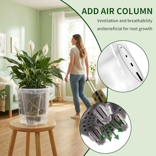 Cdd's Path Self Watering Pots Set with Deep Water Tank, Large Drainage Holes, Reservoir & Air Pipes, 5/6/7/8 Inch Naked Root Planter for Indoor Outdoor Plants, Flowers, Seedlings, Clear, 4 Pack - Image 5