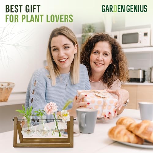 Glass Propagation Station with Wooden Stand – 3 Bulb Vase Plant Terrarium for Home & Office | Ideal Christmas, New Year & Birthday Gift for Plant Lovers, Moms | Hydroponic Desktop Planter Set - Image 5