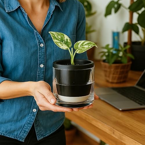 D'vine Dev Self-Watering Black Terracotta Planter, 4 in, 2-Pack, 37-Y-A-3 - Image 7