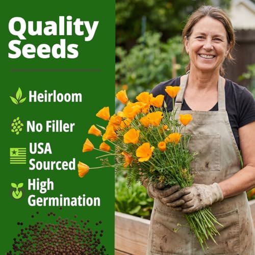 HOME GROWN Golden West Poppy 6000 Flower Seeds Eschscholzia californica - Image 6
