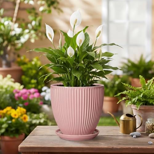 6 Inch Flower Pots, Ceramic Pots for Plants Indoor, Modern Plant Pot with Drainage Hole and Saucer, Decorative Small Round Succulent Planter, Living Room Office Decor, Women Men Gifts, Pink - Image 4
