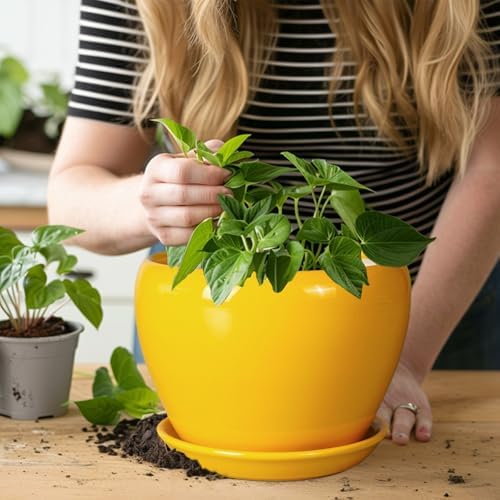 Ceramicfor 8 Inch Plant Pot - Glaze Modern Round Ceramic Planter for Indoor Outdoor Plants with Drainage Hole and Saucer for Home Patio Room Office Decor, Yellow - Image 5