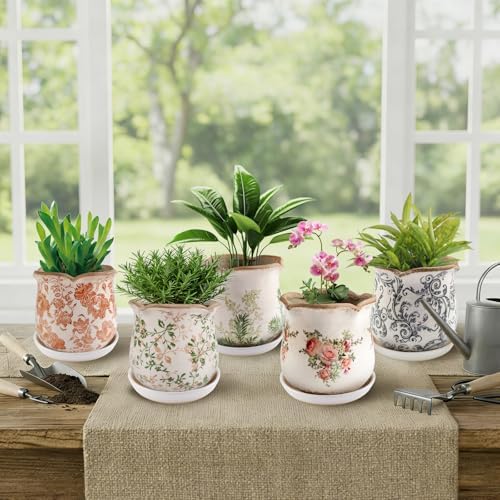 Ceramic-Planters-for-Indoor-Plants with Saucer, 6 inch Vintage Ice Crackle Glaze Plant Pots with Drainage Holes, Decorative Flower Pots for Outdoor Garden Home Decor, Tuscan Pot for Plant - Image 7