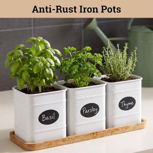 Herb Planter Indoor, 3-pc Herb Pots w/ Drainage Holes, Bamboo Tray & Labels - Image 3