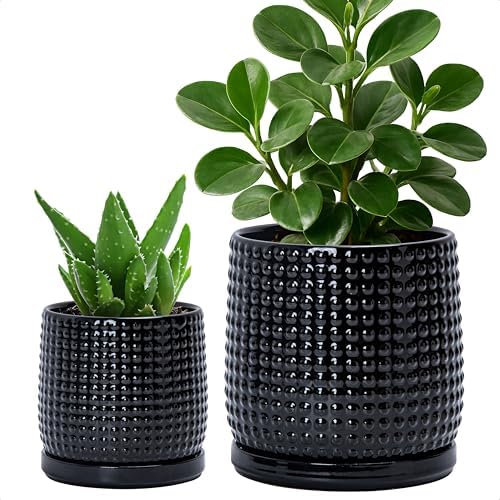 D'vine Dev Beaded Ceramic Planter Pots, 4/6 in, Gloss Black, 27-D-U-2 by DvineDevPlanterPotsandStand