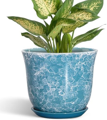 Ceramic Pots for Plants - 5.6 Inch Plant Pot with Drainage Hole and Saucer, Round Succulent Flower Orchid Pot for Indoor Outdoor, Modern Planter, Home Room Decor, Gift for Plant Lover, Blue by SUNPOTFOR