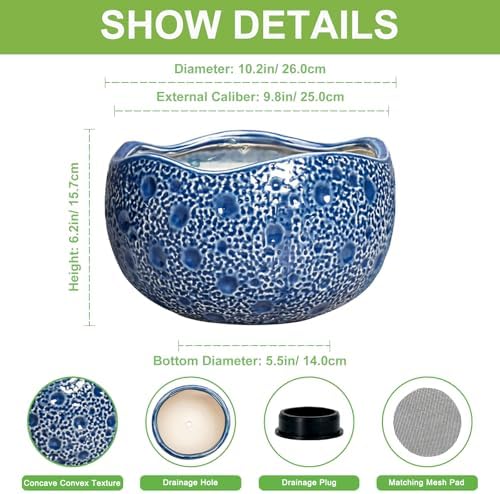 10 Inch Plant Pot, Ceramic Pots for Plants Indoor, Blue - Image 2