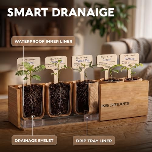 Bonsai Tree Kit Classic - Growing 5 Unique Japanese Bonzai Trees - Image 5